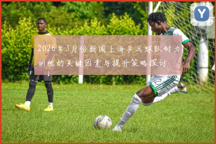 2026年3月份新闻上海乒乓球队耐力训练的关键因素与提升策略探讨
